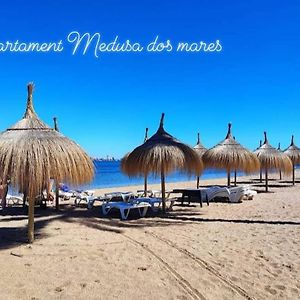 Apartamento de 2 Dormitorios